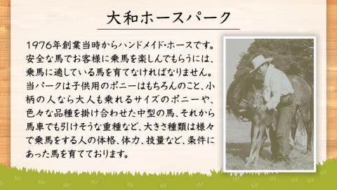 【初心者おススメ】 トムソーヤ珈琲コース 平日プラン 乗馬 トレッキング 体験チケット アウトドア  [DE003sa]