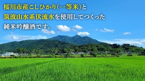 花の井 純米吟醸 原酒 2本セット 酒 お酒 日本酒 茨城県[AD001sa]