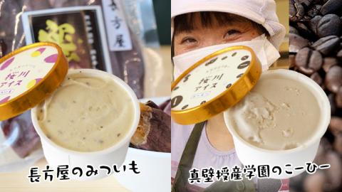 【生産者支援】桜川アイス 6種 6個 セット 数量限定 食べ比べ 90ml×6種類 桜川市のこだわり素材を使用 アイス あいす デザート スイーツ 産地限定 おやつ カップ [SC040sa]