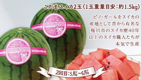 【 定期便 】【 2026年2月下旬から発送開始 全4回 】 数量限定 贅沢 フルーツ 満喫コース 旬の果実 旬のフルーツ くだもの 果実 トマト フルーツトマト スイカ いちご メロン 特選 贅沢 厳選 定期便 [BC056sa]