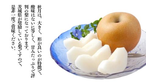 【 2025年 先行予約 】 厳選 2種！恵水 と 秋月 の 食べ比べセット 約3kg 5玉～7玉 【 茨城県共通返礼品 ／ 常陸太田市 】 2025年9月中旬発送 桧山果樹園[DU019sa]