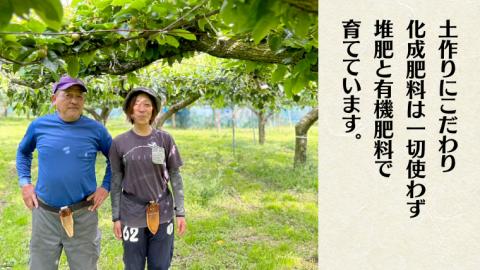 【 先行予約 】 茨城県産 梨 秋月 約5kg 6玉～14玉 (茨城県共通返礼品 かすみがうら市) (2025年9月中旬発送開始) 産地直送 久保田果樹園 フルーツ 甘い 直送 茨城 限定 ギフト 梨 秋月 あきづき 果物 [DH004sa]