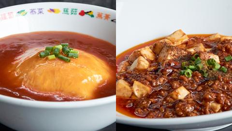 専門店の本格中華9種詰め合わせ 中華 セット 手作り 餃子 焼売 エビチリ 角煮 麻婆豆腐 マーボー 天津飯 [BK001sa]