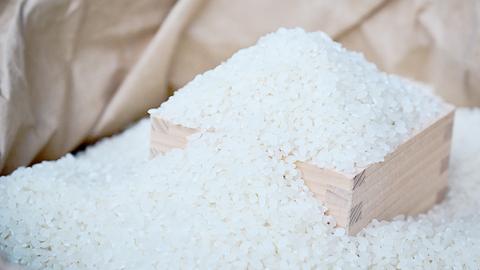 令和7年産 筑波山麓・羽鳥の沢水米 コシヒカリ 10kg 米 お米 コメ 精米 白米 桜川市 茨城県 [BN001sa]