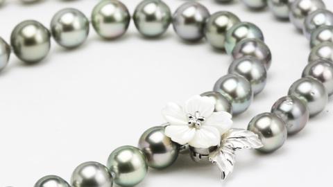 桜のホワイトシェル貝ペンダントと12mm黒蝶真珠ネックレス シルバー ブラックパール パール 黒真珠 真珠 ペンダント ネックレス ジュエリー ギフト 記念 贈り物 贈答 プレゼント[AH017sa]