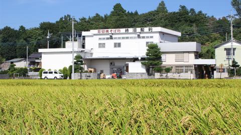 【石臼挽そば粉】常陸秋そば打ちセット そば 蕎麦 ソバ そば粉 セット 常陸秋そば [BI004sa]
