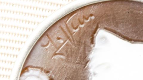 貴方のペットがカメオになる！『わんにゃんペットカメオ』 ペンダント オーダー オーダージュエリー ジュエリー カメオ 世界に一つ ギフト 記念 贈り物 愛猫 愛犬 [AH070sa]