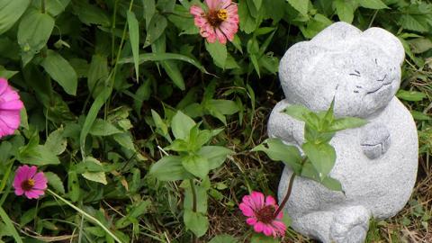 アクティブ招き猫 石 ストーン 猫 ネコ 動物 縁起物 雑貨 職人 伝統工芸 伝統工芸品 置き物 飾り 玄関 庭 ガーデニング おしゃれ 茨城県 桜川市 贈り物 [AP007sa]