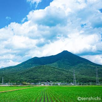 ＜お歳暮熨斗付＞半熟せんべい 5袋詰合せ×2箱(10袋) クアトロセット 半熟カレーせん 半生しょうゆせん 半熟もんじゃ煎餅 半熟キャラメルせんべい カレー味 かつおだし 甘辛ソース[AO013sa]