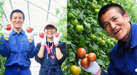 【 母の日 メッセージカード付 】≪ 5月5日～11日お届け ≫スーパー フルーツトマト 小箱 約800g×1箱 糖度9度以上 トマト とまと 野菜[BC069sa]