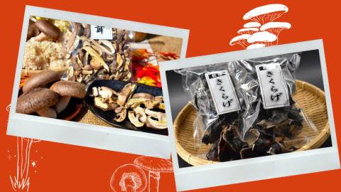 きのこ 加工品 詰め合わせ 5点 セット【茨城県共通返礼品 城里町】 惣菜 おかず きのこ 加工品 [CX004sa]