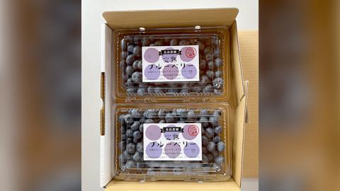 ブルーベリー 800g ( 400g × 2パック ) 【2026年6月から発送開始】 国産 茨城県産 ベリー フルーツ 果物 くだもの 自家製栽培[AK003sa]