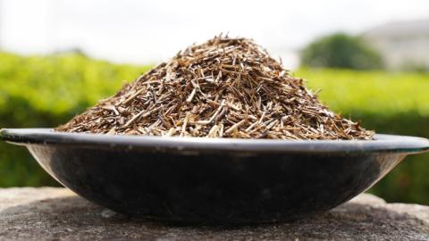 くきほうじ茶 （100g×10袋）【茨城県共通返礼品／八千代町】 お茶 ほうじ茶 松田製茶 [DV009sa]