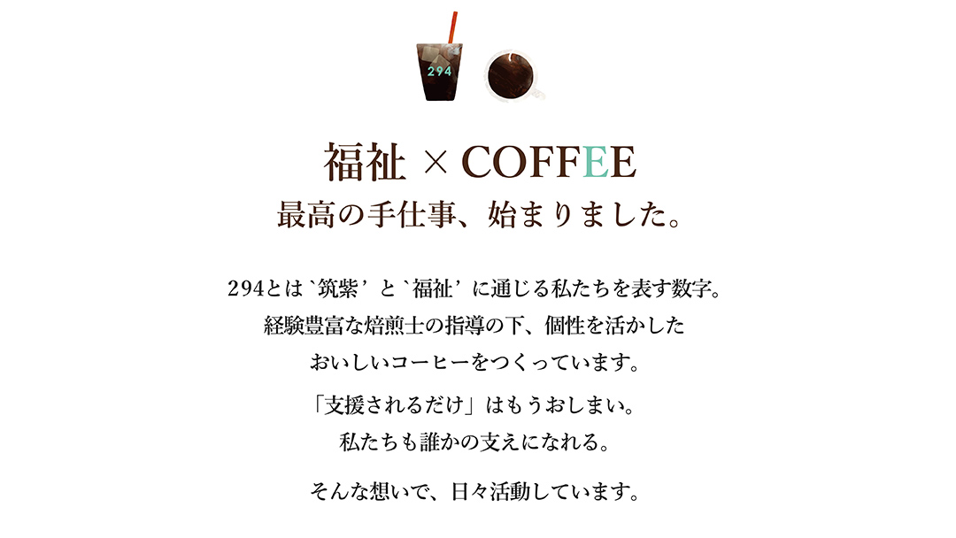 水出し コーヒー FUTUU NO REICO 3袋 合計9パック (30g × 3パック ) アイスコーヒー 珈琲 水出し 水出し珈琲パック 294ROASTERS ふるさと納税 [AU003sa]