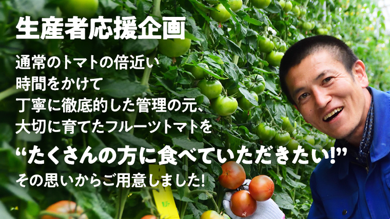 《 2026年収穫分 先行予約 》 糖度7度以上 フルーツトマト 大箱 約2.6kg × 1箱 (20～35玉/1箱) ブランドトマト 野菜 ギフト 贈答 [BC018sa]