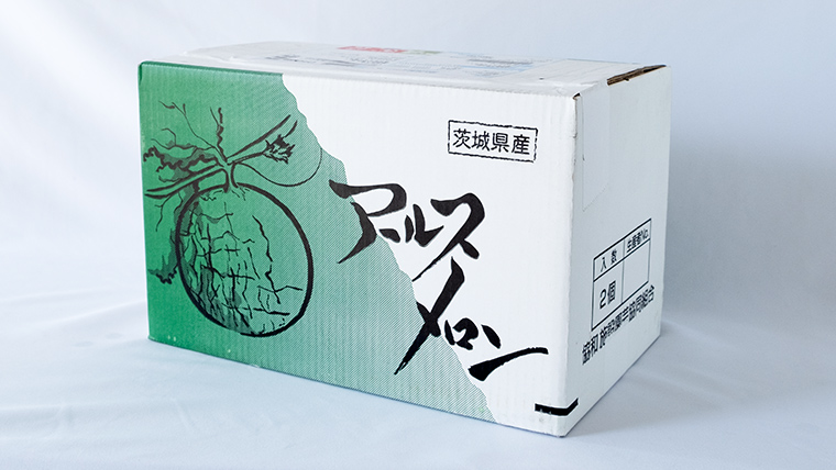【2025年8月下旬発送開始】 季節 限定 ！甘さ満点 アールス メロン 大箱 （ 4?5玉 ） 果物 フルーツ 農家直送 産直 青肉メロン 特産品 マスクメロン メロン くだもの 茨城 [BC046sa]