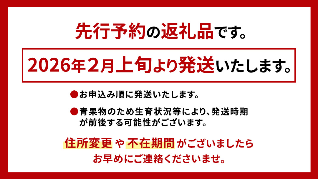 《 2026年収穫分 先行予約 》《 3回 定期便 》 糖度7度以上 フルーツトマト 大箱 約2.6kg × 1箱 × 3回 ブランドトマト 野菜 ギフト 贈答 [BC053sa]