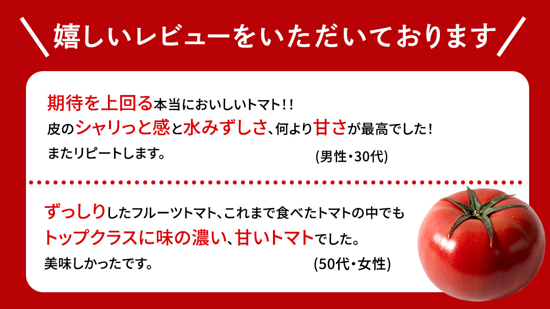 【母の日専用】 スーパーフルーツトマト 中箱 約1.2kg ×1箱 糖度9度以上 《5月4日～10日お届け メッセージカード付》 トマト とまと 野菜 母の日 ギフト 贈り物 プレゼント 感謝 記念日 [BC067sa]