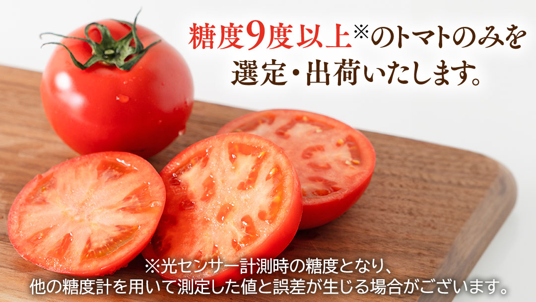 《 テレビで紹介 》【 2026年収穫分 先行予約 】【 3回 定期便 】 糖度9度以上 スーパーフルーツてるて姫 大箱 約2.6kg × 1箱 × 3回 フルーツトマト ブランドトマト 野菜 ギフト 贈答 青空レストラン アド街ック天国 グッドモーニング 黄金のワンスプーン [BC087sa]