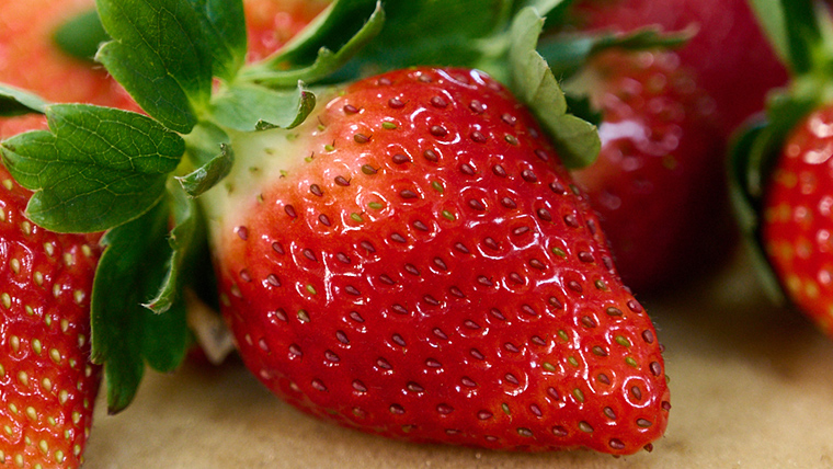 【12/17までの申込で年内にお届け！】 完熟いちご 約260g×2パック 品種おまかせ 年内お届け 国産 いちご イチゴ 苺 [BC089sa]