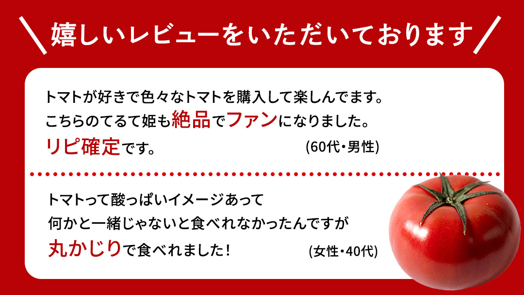 【母の日専用】 スーパーフルーツトマト てるて姫 中箱 約1.2kg ×1箱 糖度9度以上 《5月4日～10日お届け メッセージカード付》 トマト とまと 野菜 母の日 ギフト 贈り物 プレゼント 感謝 記念日 [BC095sa]