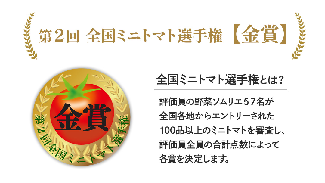 【母の日専用】 スーパーフルーツミニトマト 小箱 約1kg ×1箱 《5月4日～10日お届け メッセージカード付》 ミニトマト フルーツトマト ブランドトマト 野菜 母の日 ギフト 贈り物 プレゼント 感謝 記念日 [BC097sa]