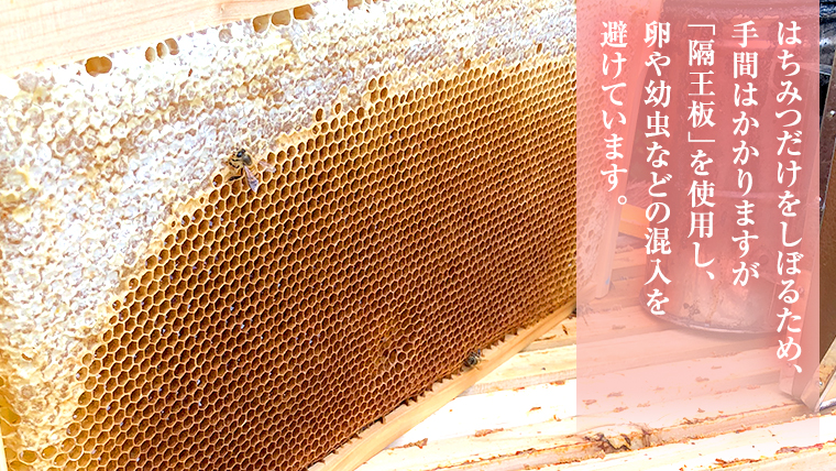 季節で移ろう 田舎 はちみつ スティック 7種セット [ハニースティックST7] 【茨城県共通返礼品／五霞町】  2.5g×12本×7種 小分け 生ハチミツ 非加熱 国産 [BS010sa]