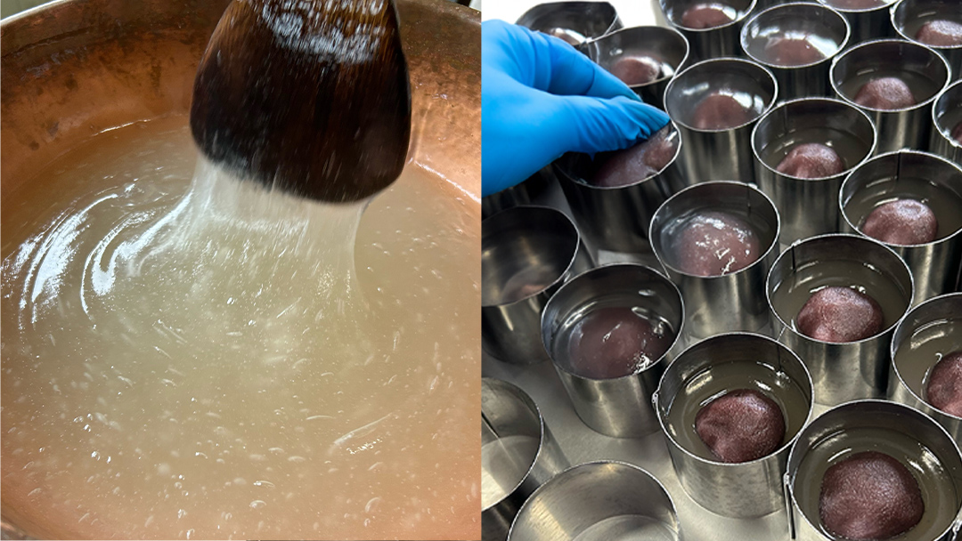 《 夏季 限定 》 涼菓 水 まんじゅう 10個 ( 5種類 × 2個 ) 詰め合わせ 葛粉 和菓子 菓子 和スイーツ スイーツ まんじゅう こし餡 抹茶餡 あんこ メロン ゆず いちご いちごみるく 抹茶 季節限定 夏限定 [CN002sa]