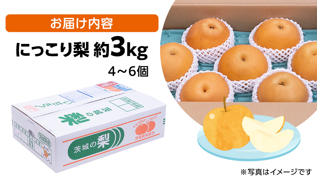にっこり梨 約3kg 4玉～6玉 (茨城県共通返礼品:城里町) 2026年 フルーツ 甘い お正月 クリスマス 大玉 直送 茨城 限定 [CO001sa]