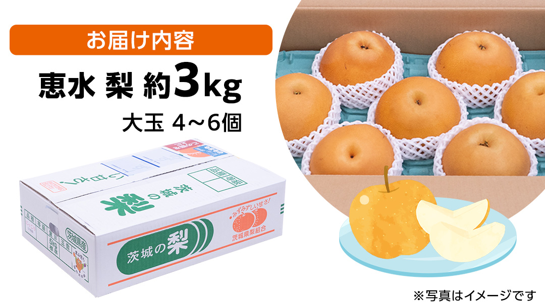 恵水梨 約3kg 4玉～6玉 (茨城県共通返礼品:城里町) 2026年 梨 なし 和梨 フルーツ 甘い オリジナル 大玉 直送 茨城 限定 [CO004sa]