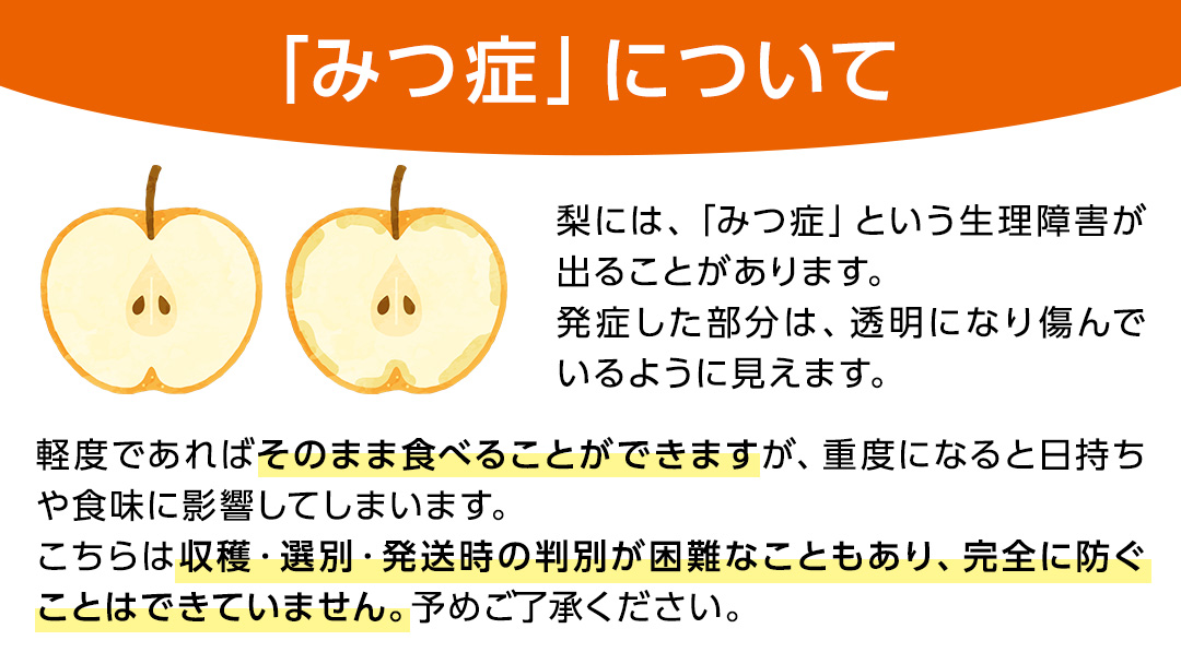 【2026年11月中旬から発送開始】王秋梨 約3kg 4玉～6玉 (茨城県共通返礼品:城里町) フルーツ 甘い お正月 クリスマス 大玉 直送 茨城 限定 [CO009sa]