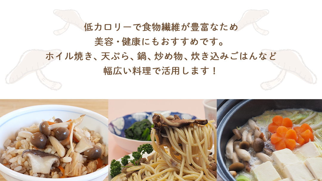 《 ３ヶ月 連続定期便 》 きのこ の 詰め合わせ Mサイズ 約1.5kg （茨城県共通返礼品 城里町） 定期便 キノコ 舞茸 あわび茸 たもぎ茸 しいたけ 花びら茸 セット 鍋 炒め物 [CX006sa]