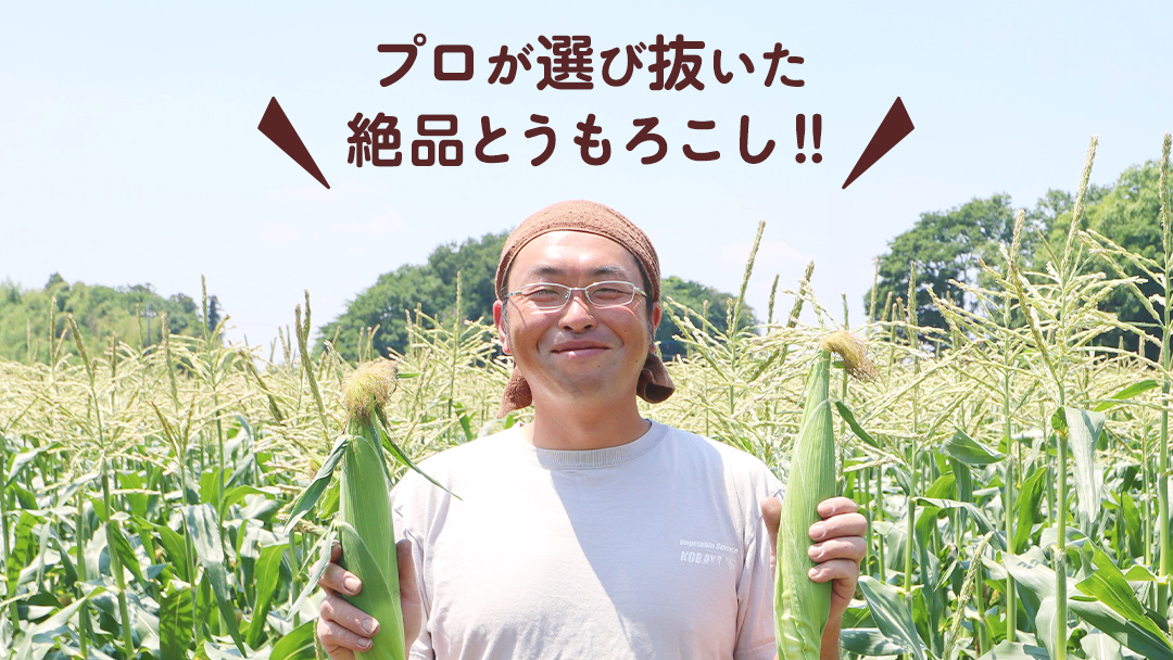 朝採れ とうもろこし 10本 ～ 12本 約4kg 2Lサイズ以上  ( 2025年6月下旬から発送開始 )  茨城県 桜川市産 農家直送 朝採り 新鮮 甘い 野菜 おおもの ゴールドラッシュ ゴールドラッシュネオ ゴールデンタイム サニーショコラ  JGAP [DD001sa]