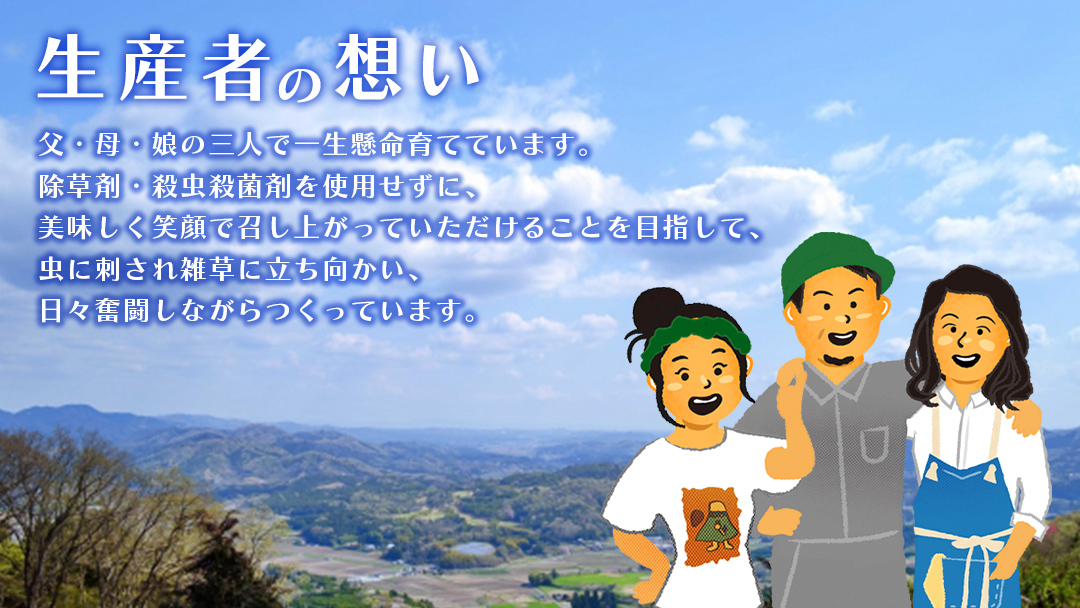 【2025年8月上旬から発送開始】 茨城県桜川市産 「 百花蜜 」合計 300g (150g×2P) 日本みつばち はちみつ ハチミツ 蜜 蜂蜜 パック詰め パック包装 小分け[DZ005sa]