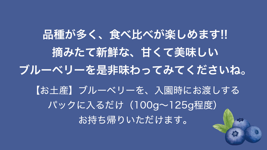 【寄附受付は2025年7月29日まで】 ブルーベリー狩り 体験チケット 《親子プラン お土産付き》 ブルーベリー ベリー 食べ比べ 食べ放題 収穫 収穫体験 体験 チケット 招待券 レジャー 観光 旅行 親子 ふれあい お土産 おみやげ 持ち帰り テイクアウト 多品種 果実 果物 くだもの フルーツ 自然体験 農業体験 茨城県 桜川市 [DZ008sa]