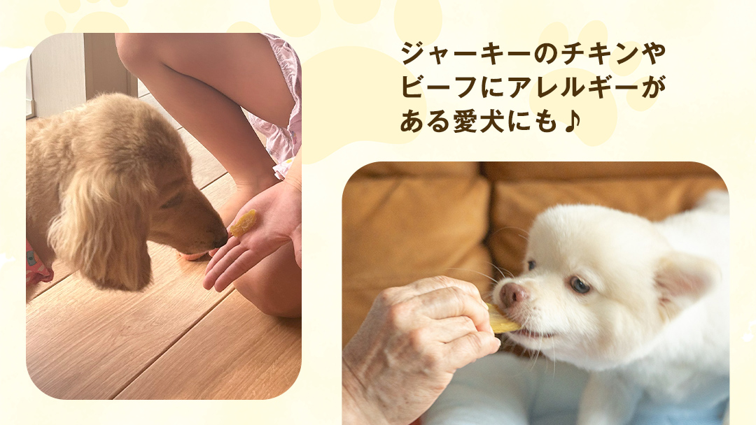 犬 の おやつ 干し芋 シロタ ( 100g × 4袋 ) 国産 手作り さつまいも 芋 お菓子 小分け 個包装 少量 栄養 食物繊維 噛みごたえ ドッグフード わんちゃん わんこ ペット ペットフード マツコの知らない世界 [EE016sa]