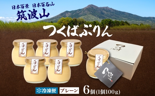 つくばぷりん プレーン 10個 冷凍 プリン ぷりん 牛乳 生乳 ミルク 卵 奥久慈卵 スイーツ 贅沢 洋菓子 おやつ 冷菓 ご褒美 デザート 専門店 人気 グルメ お取り寄せ ギフト プレゼント 贈り物 贈答品 化粧箱 筑波山 つくば 送料無料 ふじ屋 茨城県 桜川市 [EW002sa]