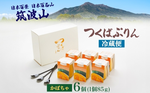 つくばぷりん かぼちゃぷりん 6個 プリン ぷりん かぼちゃ カボチャ 南瓜 牛乳 ミルク 卵 とろける スイーツ 贅沢 洋菓子 おやつ 冷菓 ご褒美 デザート 人気 グルメ お取り寄せ ギフト プレゼント 贈り物 贈答品 冷蔵 送料無料 ふじ屋 茨城県 桜川市 [EW009sa]