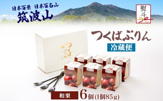 無地熨斗 つくばぷりん 和栗ぷりん 6個 プリン ぷりん 和栗 くり クリ 栗 牛乳 ミルク 卵 とろける スイーツ 贅沢 洋菓子 おやつ 冷菓 和スイーツ ご褒美 デザート 人気 グルメ お取り寄せ ギフト プレゼント 贈り物 贈答品 冷蔵 送料無料 ふじ屋 茨城県 桜川市 [EW033sa]