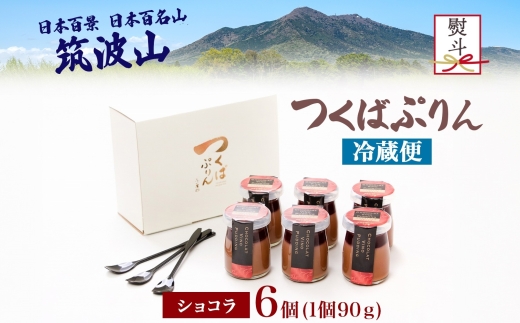 無地熨斗 つくばぷりん ショコラ・ヴィノ・プディング ６個 プリン ぷりん ショコラ チョコレート 牛乳 ミルク 卵 赤ワイン スイーツ 贅沢 洋菓子 おやつ 冷菓 ご褒美 デザート 人気 グルメ お取り寄せ ギフト プレゼント 贈り物 冷蔵 送料無料 ふじ屋 茨城県 桜川市 [EW034sa]