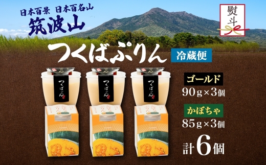 無地熨斗 ゴールドぷりん ＆ かぼちゃぷりん 各3個 計6個 つくばぷりん プリン ぷりん かぼちゃ カボチャ 南瓜 牛乳 ミルク 卵 スイーツ 贅沢 洋菓子 おやつ 冷菓 ご褒美 デザート 人気 グルメ お取り寄せ ギフト プレゼント 贈り物 送料無料 ふじ屋 茨城県 桜川市 [EW037sa]