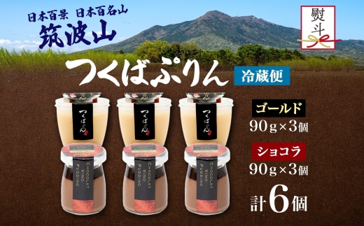 無地熨斗 ゴールドぷりん ＆ ショコラ・ヴィノ・プディング 各3個 計6個 つくばぷりん プリン ぷりん ショコラ チョコレート 牛乳 卵 スイーツ 贅沢 洋菓子 おやつ 冷菓 ご褒美 デザート 人気 グルメ お取り寄せ ギフト プレゼント 送料無料 ふじ屋 茨城県 桜川市 [EW040sa]
