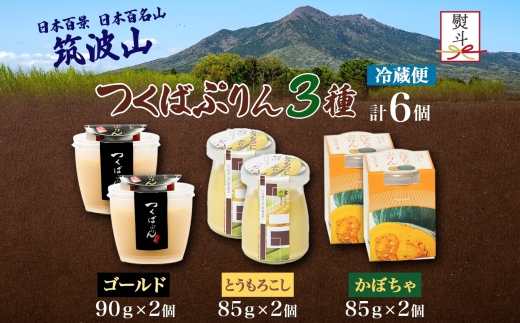 無地熨斗 ゴールドぷりん ＆ とうもろこしプリン ＆ かぼちゃぷりん 各2個 計6個 つくばぷりん  プリン ぷりん とうもろこし トウモロコシ かぼちゃ カボチャ スイーツ 洋菓子 和スイーツ 冷菓 デザート 人気 グルメ お取り寄せ ギフト 送料無料 ふじ屋 茨城県 桜川市 [EW043sa]