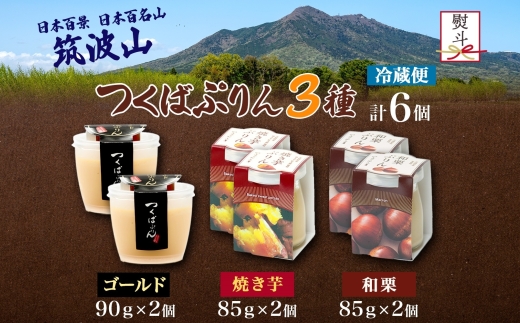 無地熨斗 ゴールドぷりん ＆ 焼き芋ぷりん ＆ 和栗ぷりん 各2個 計6個 つくばぷりん プリン ぷりん 焼き芋 焼きいも 焼きイモ いも 和栗 くり クリ 栗 スイーツ 洋菓子 おやつ 和スイーツ 冷菓 デザート 人気 グルメ お取り寄せ ギフト 送料無料 ふじ屋 茨城県 桜川市 [EW044sa]