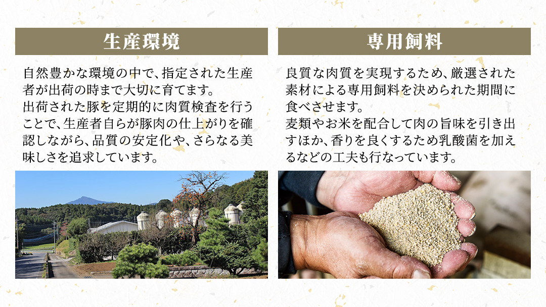 茨城県銘柄豚 「常陸の輝き」 ステーキ ・ とんかつ 用 ロース 1.2kg ( 100g × 6枚 × 2 パック ) (茨城県共通返礼品) 小分け ブランド豚 三元豚 豚肉 肉 冷凍 [FA007sa]