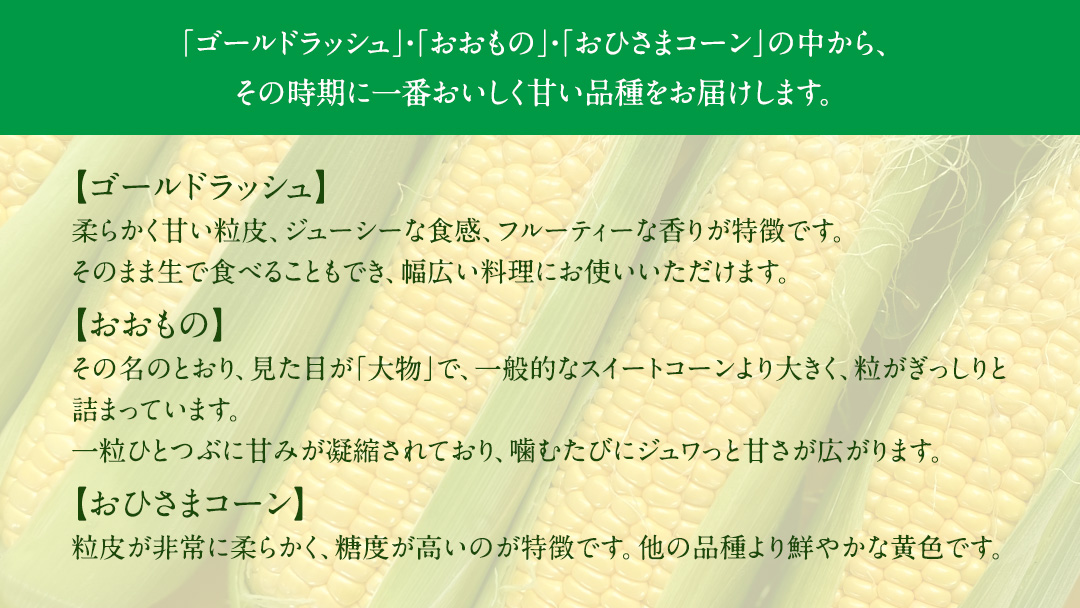 【2026年先行予約】桜川市産 とうもろこし 品種おまかせ 約4kg おおもの ゴールドラッシュ おひさまコーン  [FJ001sa]
