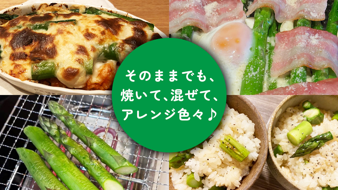 茨城県産 アスパラガス 800g 野菜 新鮮 フレッシュ 産地直送 農家直送 オーガニック BBQ バーベキュー キャンプ Freedom Farm フリーダムファーム[FK001sa]