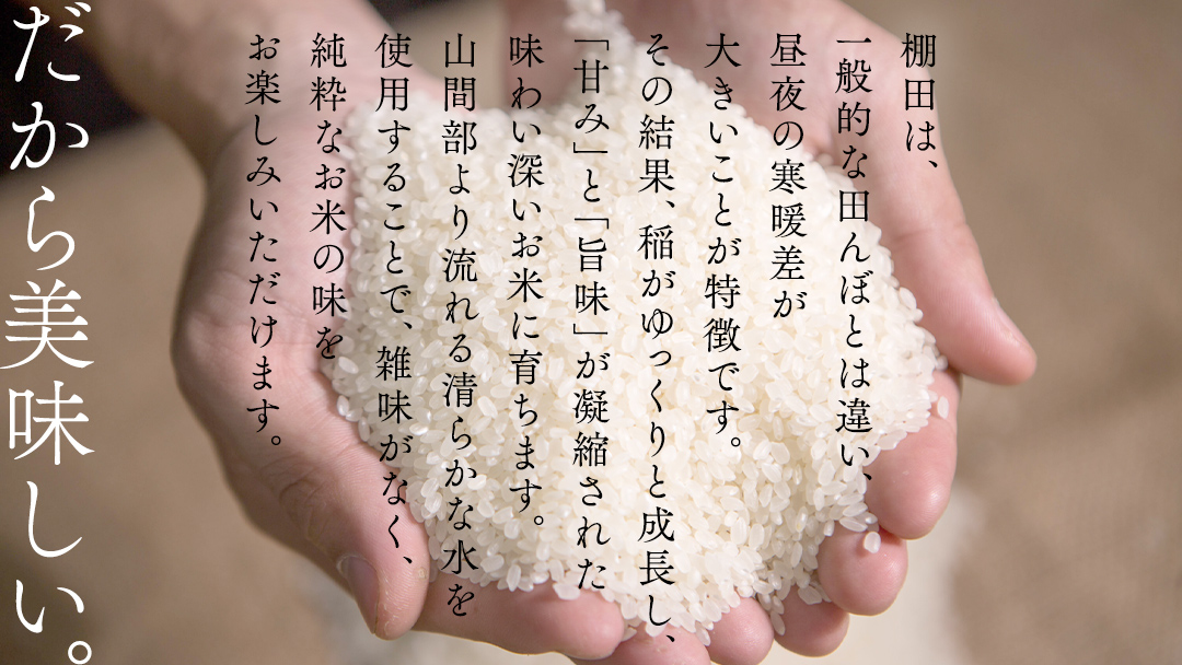 《 令和7年産 先行予約 》棚田で育った極上米 こしひかり 10kg ( 5kg × 2袋 ) 米 お米 白米 コメ ごはん 精米 コシヒカリ 国産 銘柄米 [SC062sa]