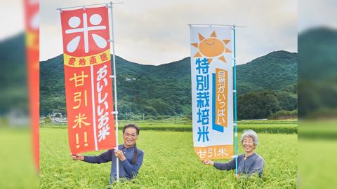 令和7年産  桜川市の 厳選 甘引米 13kg 桜川市産 特別栽培米 コシヒカリ こしひかり 米 こめ コメ 有機肥料 茨城県 いばらき [BA001sa]