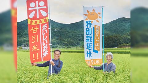 令和7年産 桜川市の 厳選甘引米 コシヒカリ 精米 4kg 桜川市産 コシヒカリ こしひかり 米 こめ コメ 茨城県 いばらき 有機肥料[BA006sa]